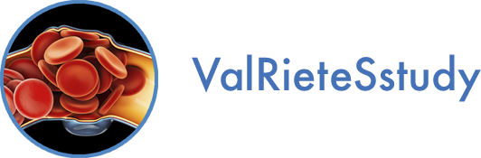 Logo ValRieteSstudy
